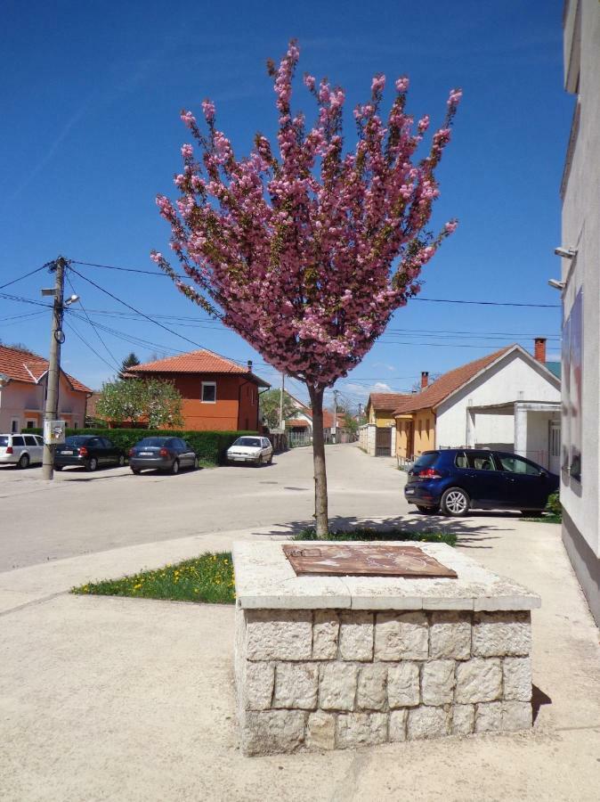 Nikšić Apartman Bedem מראה חיצוני תמונה